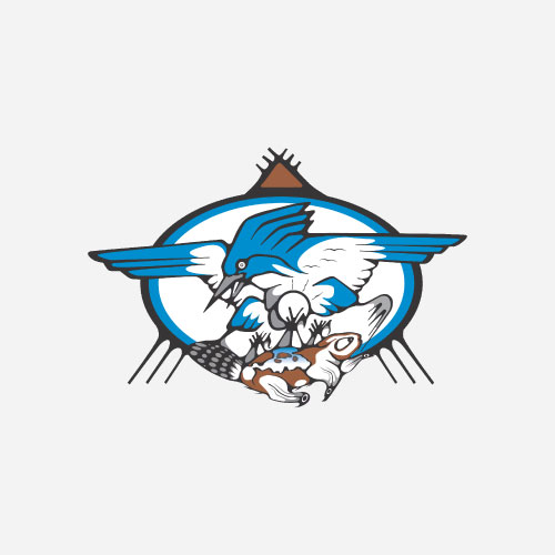 members profile