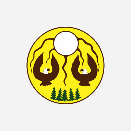 directors profile